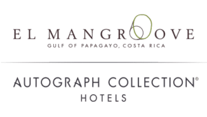 Mangroove transparent logo